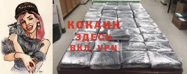 гидра Кукмор