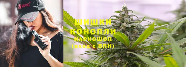 гидра Кукмор