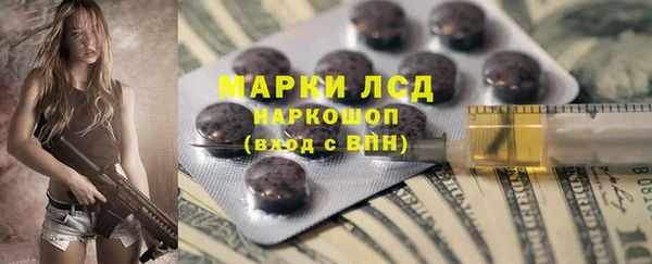 гидра Кукмор