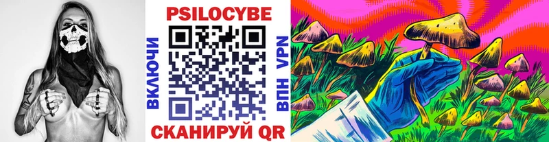 ОМГ ОМГ маркетплейс  Шатура  Галлюциногенные грибы GOLDEN TEACHER  где найти  