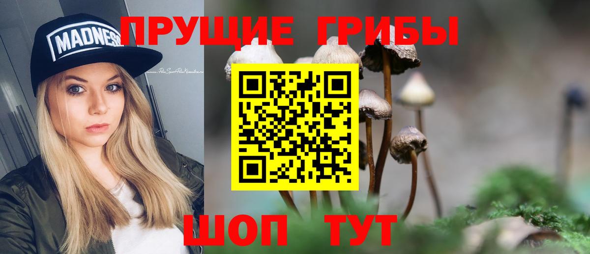 Псилоцибиновые грибы MAGIC MUSHROOMS Шатура