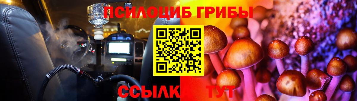 Галлюциногенные грибы Psilocybine cubensis  Вход с VPN  Шатура 